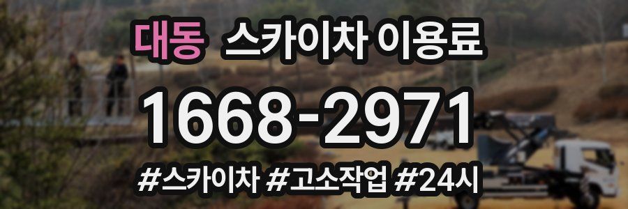 대동 스카이차 이용료