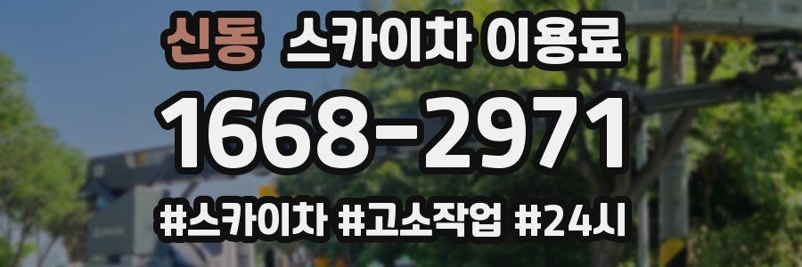 신동 스카이차 이용료