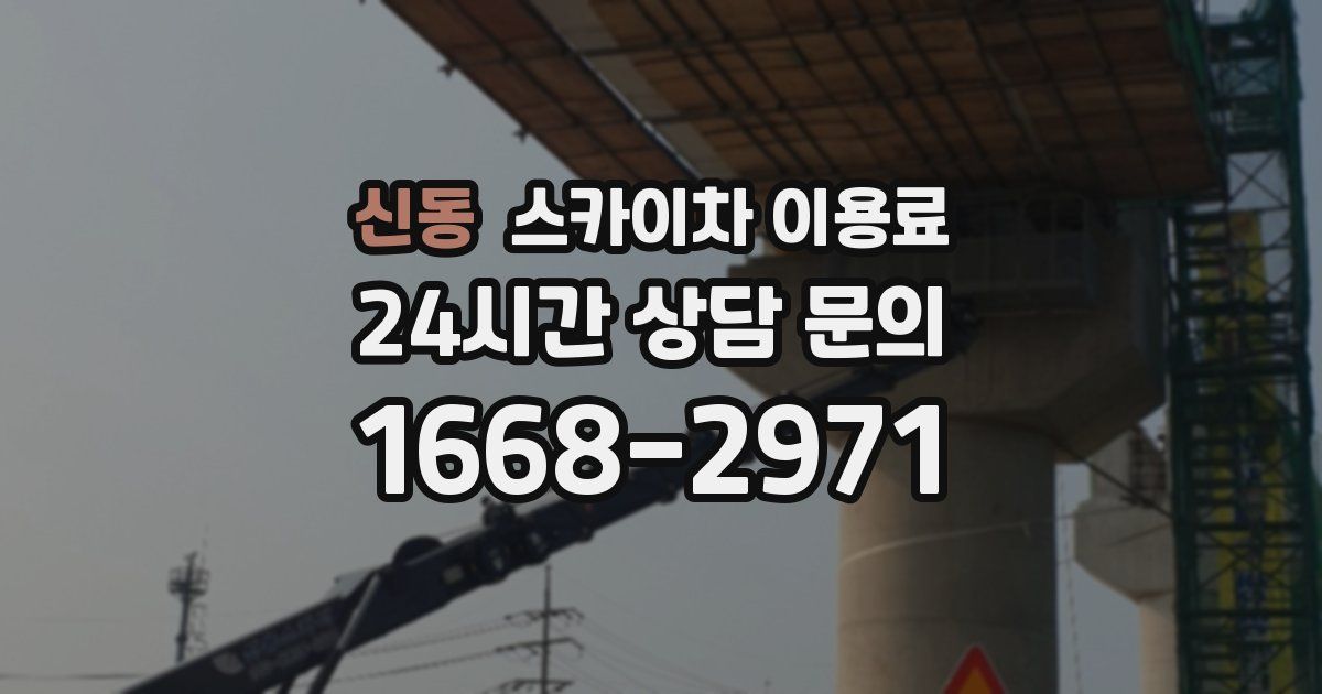 신동 스카이차 이용료