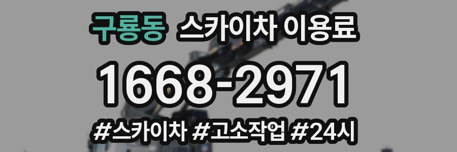 구룡동 스카이차 이용료