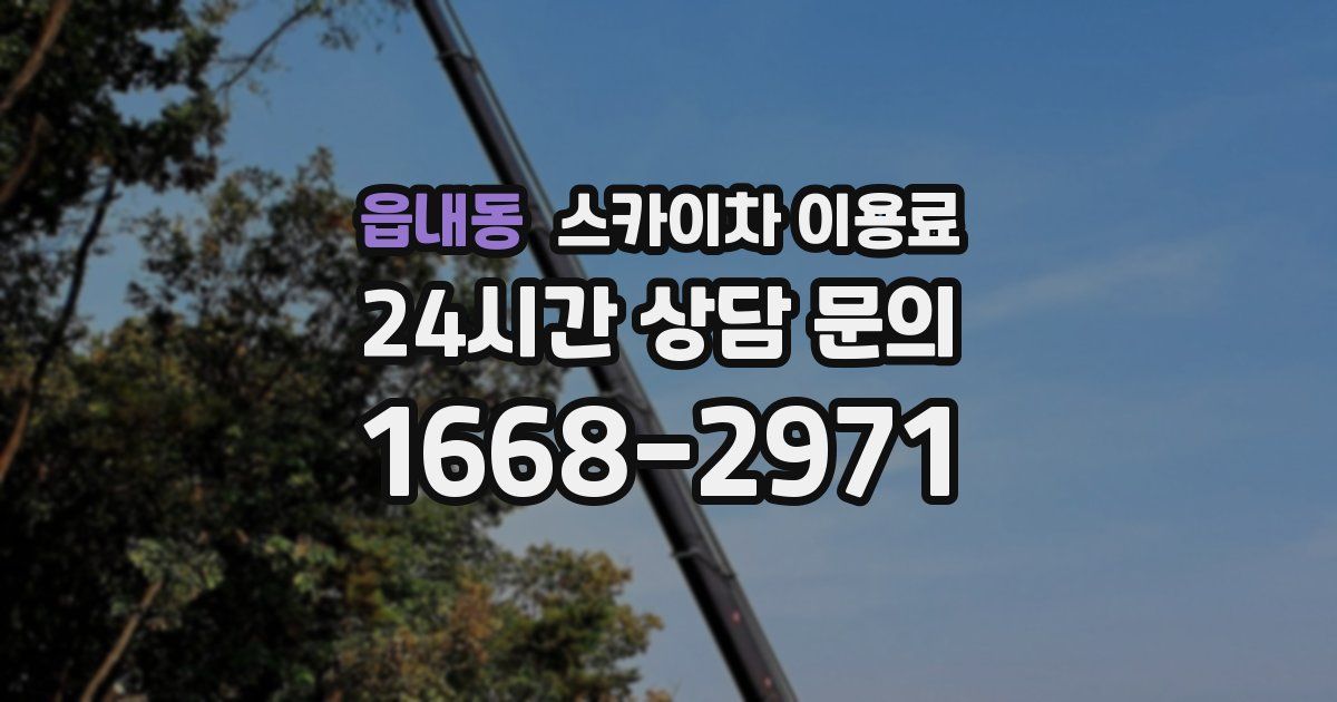 읍내동 스카이차 이용료