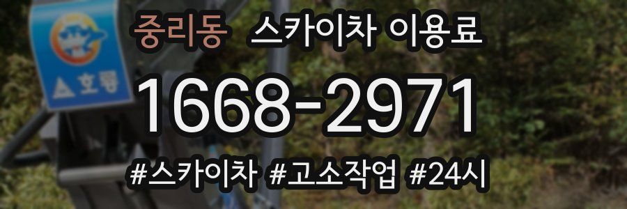 중리동 스카이차 이용료