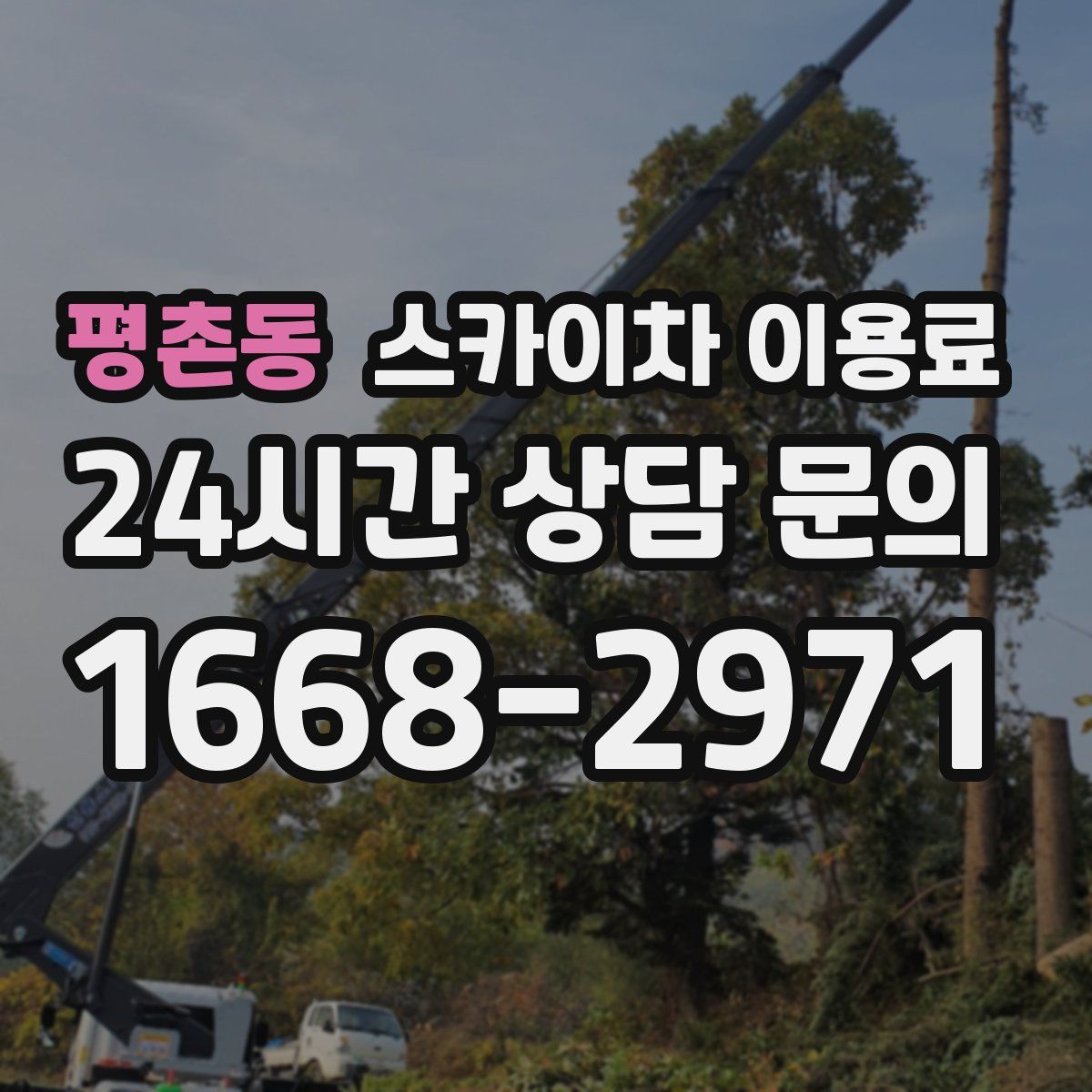 평촌동 스카이차 이용료