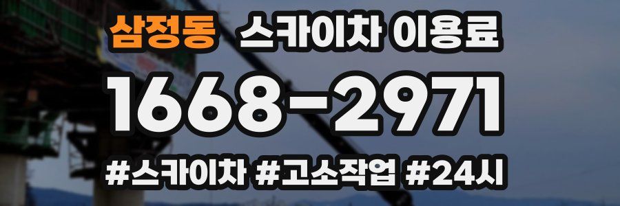 삼정동 스카이차 이용료