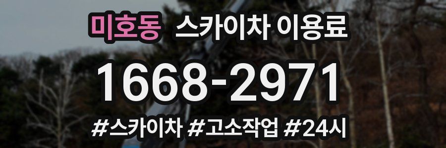 미호동 스카이차 이용료