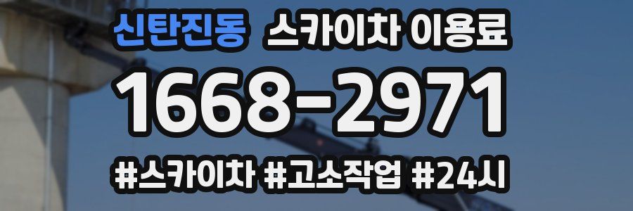신탄진동 스카이차 이용료