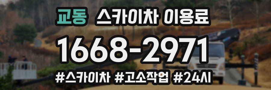 교동 스카이차 이용료