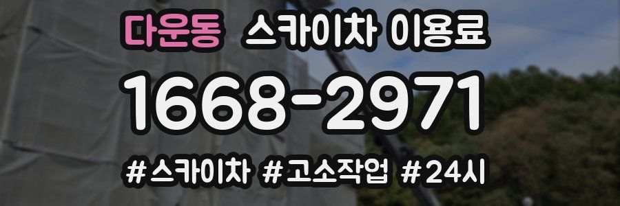 다운동 스카이차 이용료