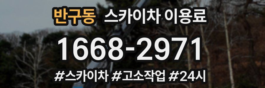 반구동 스카이차 이용료