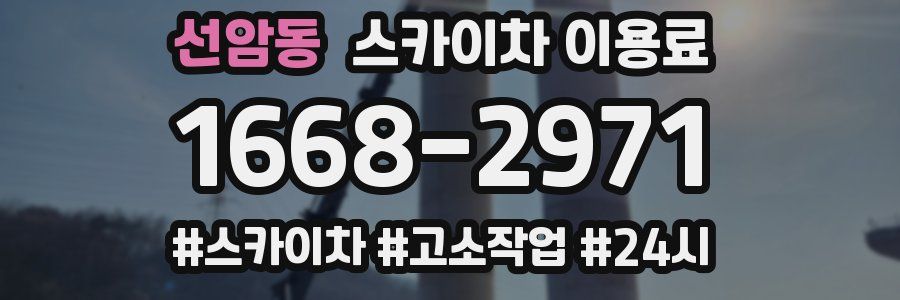 선암동 스카이차 이용료