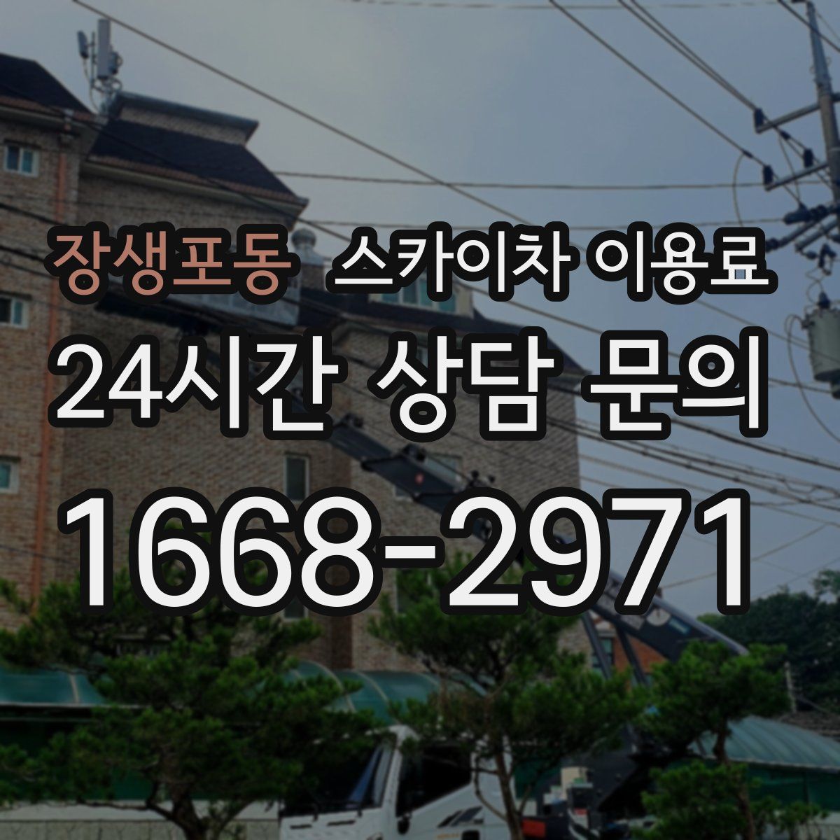 장생포동 스카이차 이용료