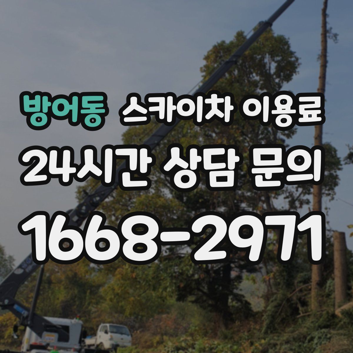 방어동 스카이차 이용료