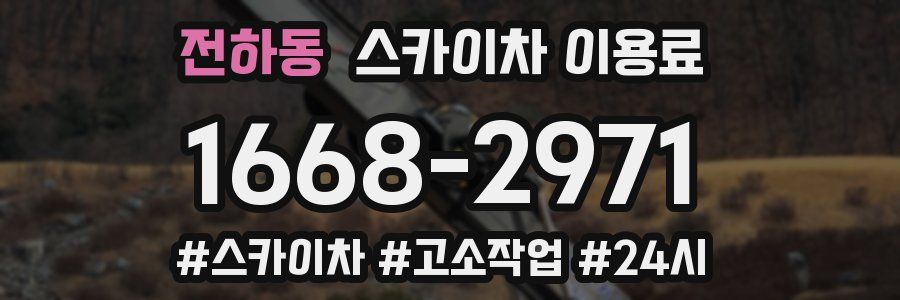 전하동 스카이차 이용료