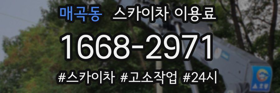 매곡동 스카이차 이용료