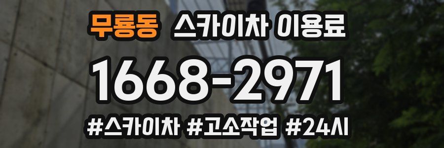 무룡동 스카이차 이용료