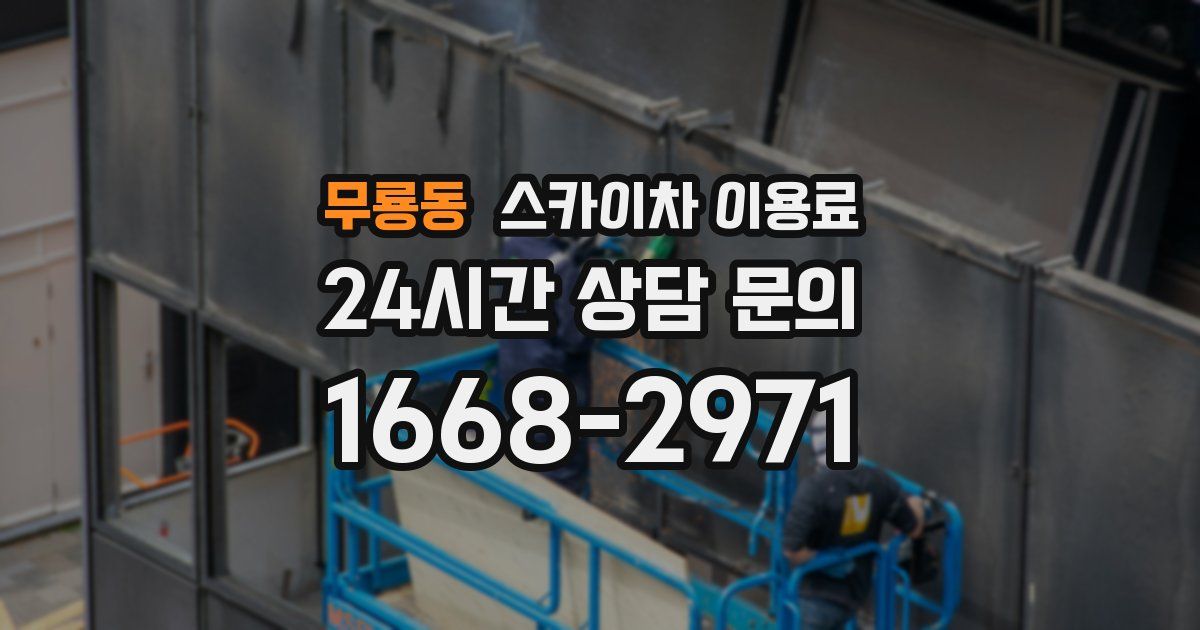 무룡동 스카이차 이용료