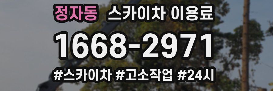 정자동 스카이차 이용료