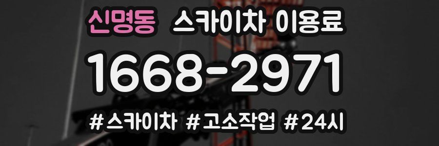 신명동 스카이차 이용료