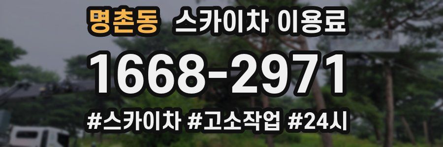 명촌동 스카이차 이용료