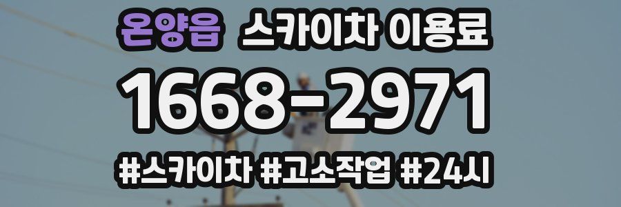 온양읍 스카이차 이용료