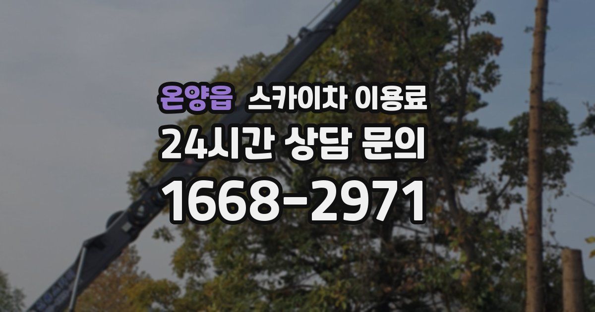 온양읍 스카이차 이용료