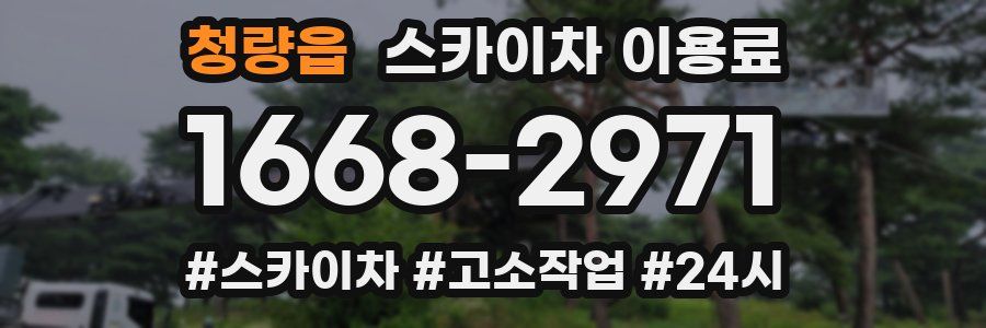 청량읍 스카이차 이용료