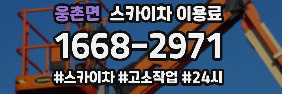 웅촌면 스카이차 이용료