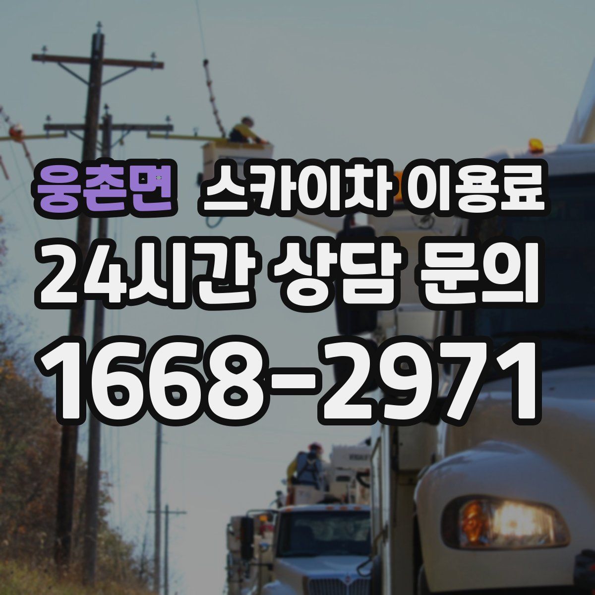 웅촌면 스카이차 이용료