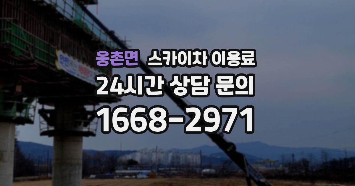 웅촌면 스카이차 이용료