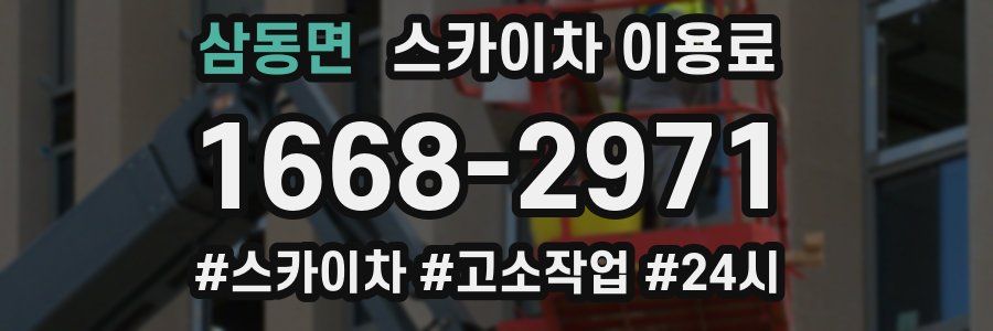 삼동면 스카이차 이용료