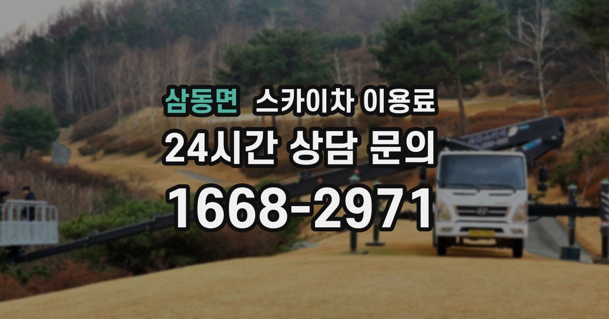 삼동면 스카이차 이용료