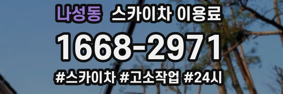 나성동 스카이차 이용료