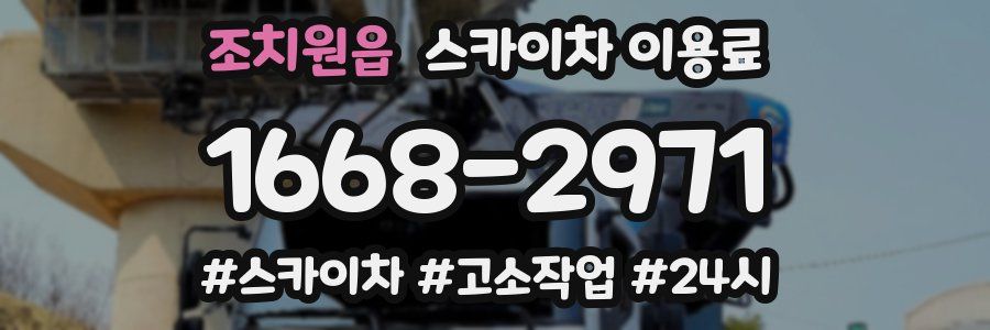 조치원읍 스카이차 이용료