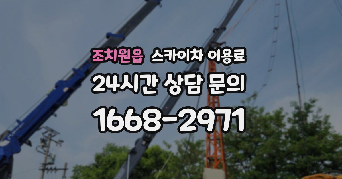 조치원읍 스카이차 이용료