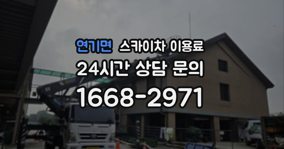 연기면 스카이차 이용료
