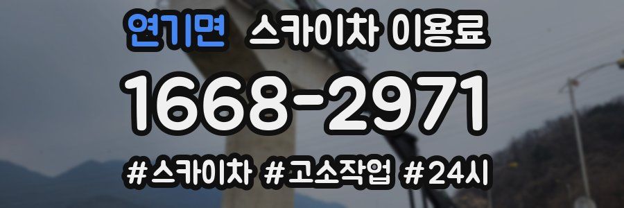 연기면 스카이차 이용료