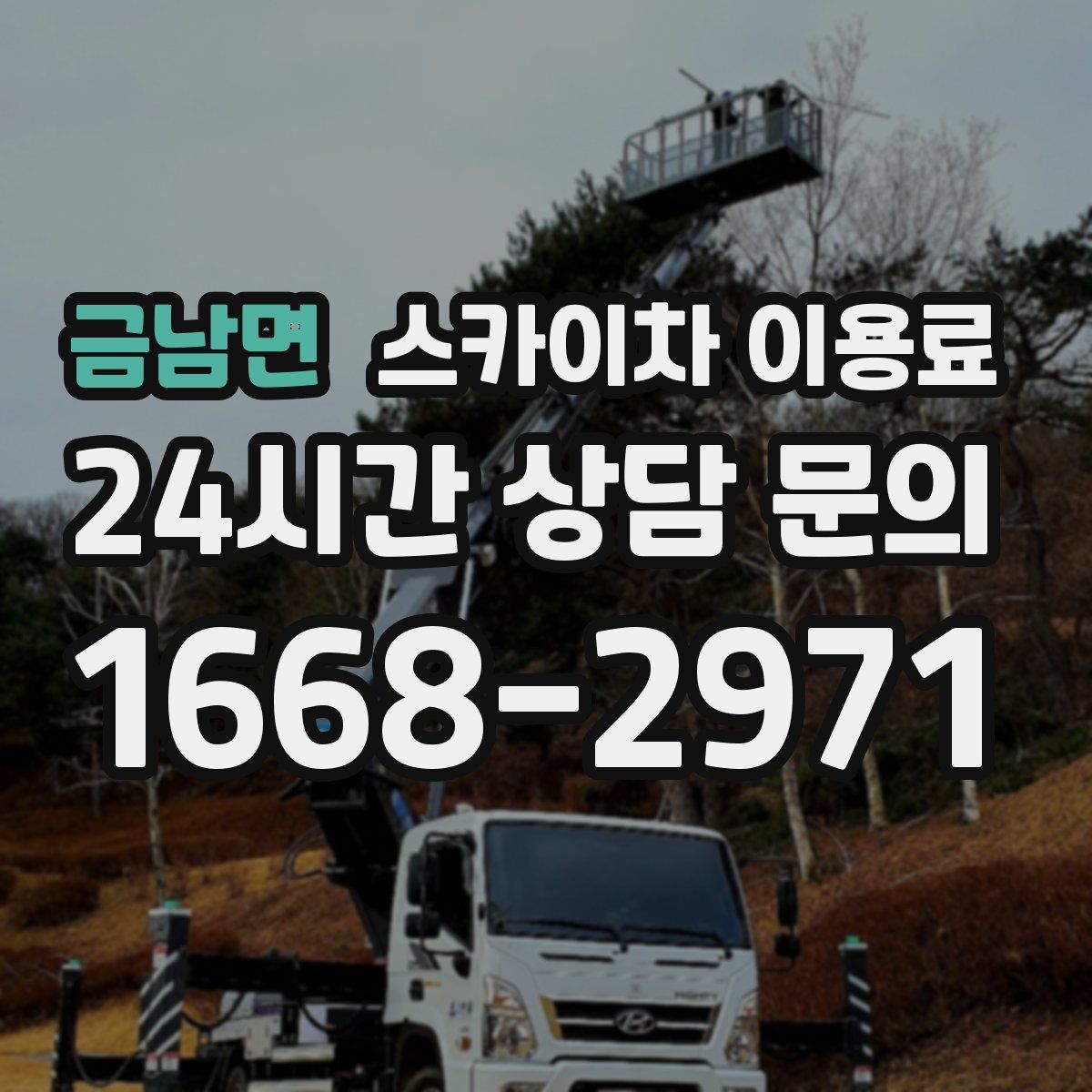 금남면 스카이차 이용료