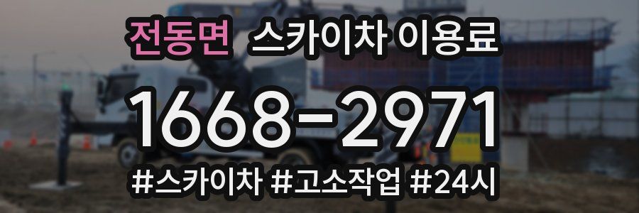 전동면 스카이차 이용료