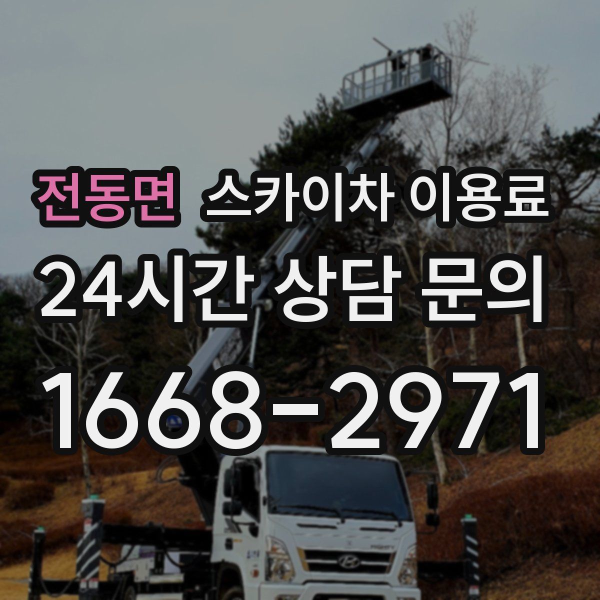 전동면 스카이차 이용료