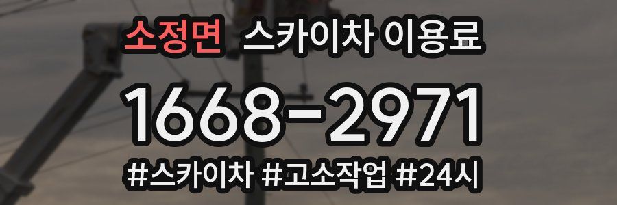소정면 스카이차 이용료