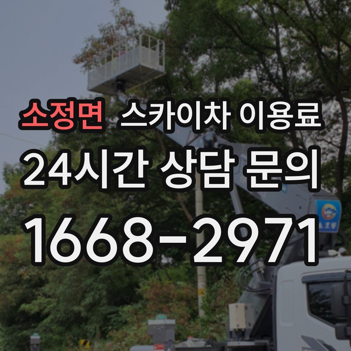 소정면 스카이차 이용료