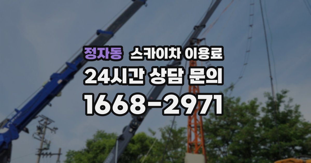 정자동 스카이차 이용료