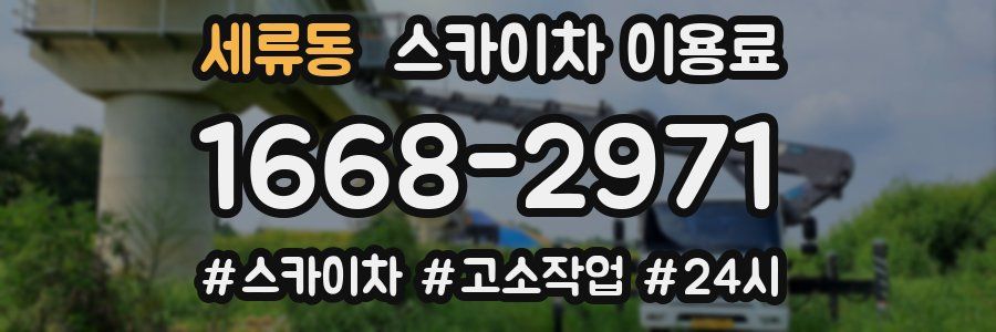 세류동 스카이차 이용료
