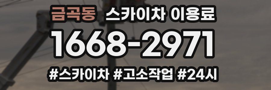 금곡동 스카이차 이용료