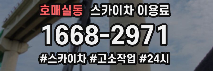 호매실동 스카이차 이용료