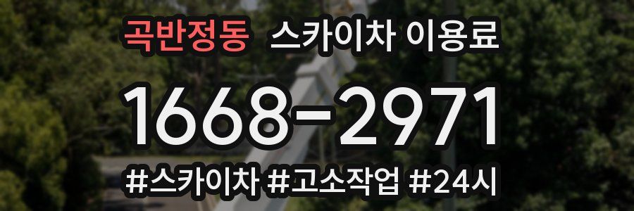 곡반정동 스카이차 이용료