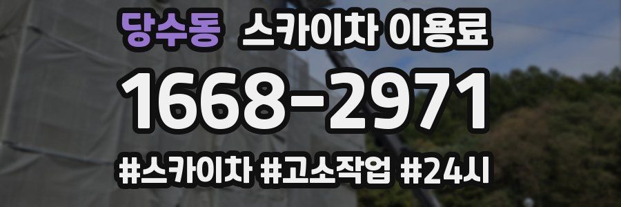 당수동 스카이차 이용료