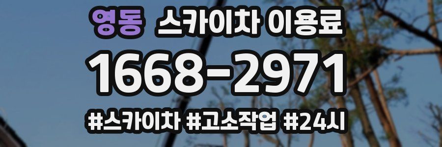 영동 스카이차 이용료