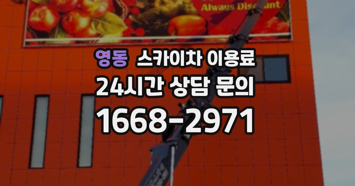영동 스카이차 이용료
