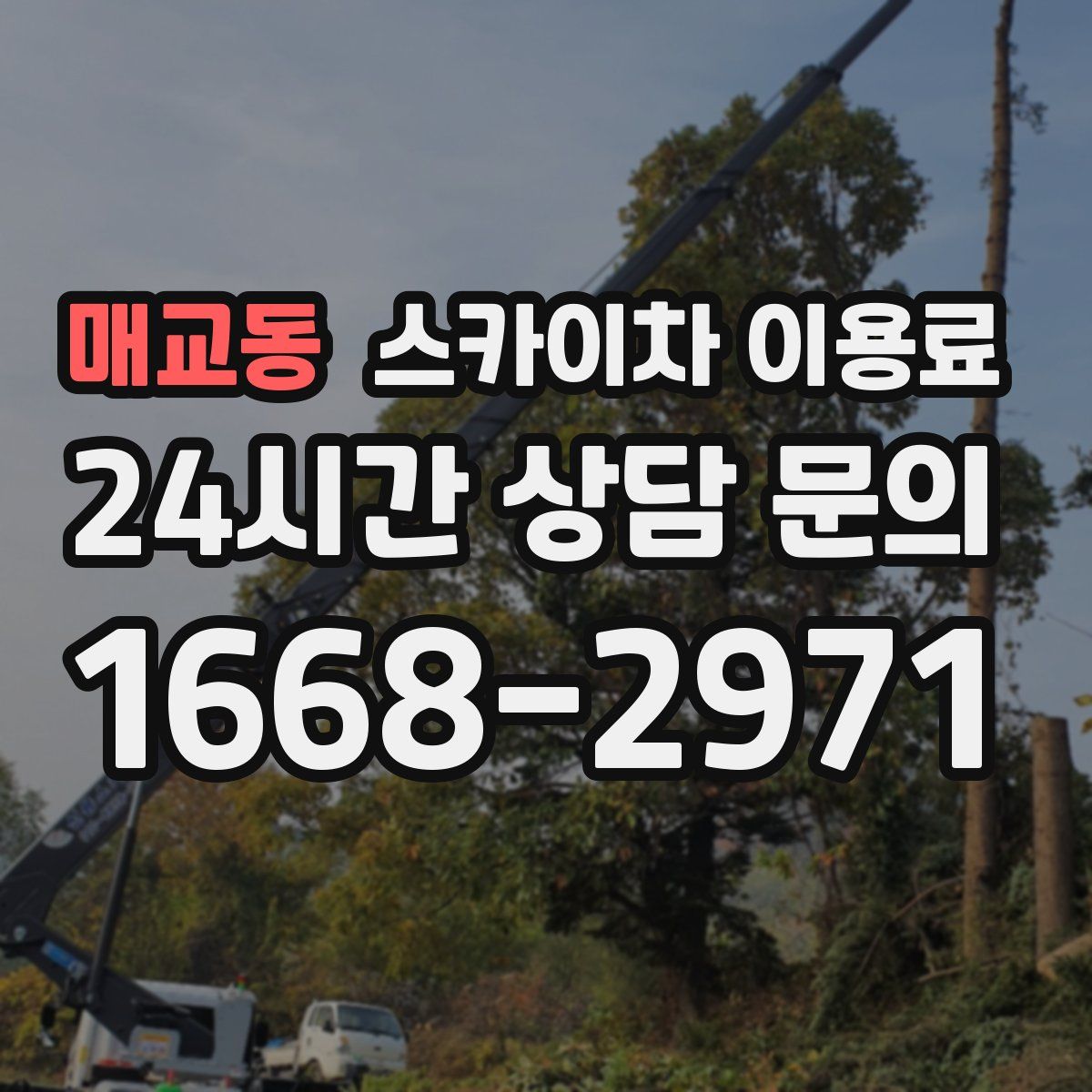 매교동 스카이차 이용료